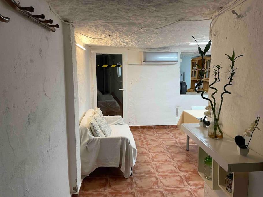 Appartement La Cueva De Toni El Seco *