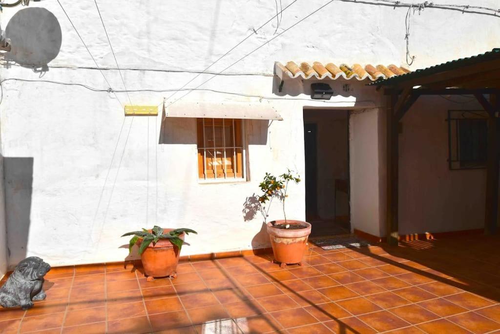 La Cueva De Toni El Seco *